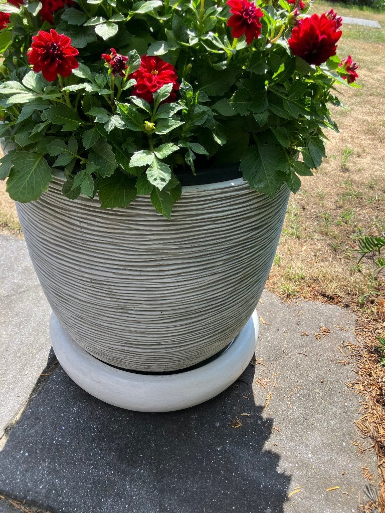 grote bloempot plantenbak bloembak voor buiten wit grijs, Gebruikt, Rond, Minder dan 40 cm, Ophalen