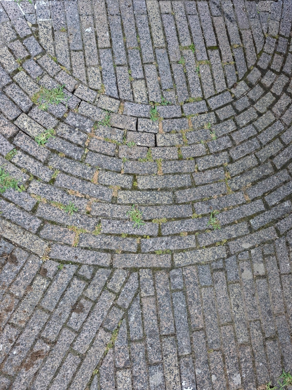 Gratis Waaltjes - ca. 15m2, Doe-het-zelf en Verbouw, Tegels, Gebruikt, Overige typen, Overige materialen, Minder dan 20 cm, Minder dan 20 cm