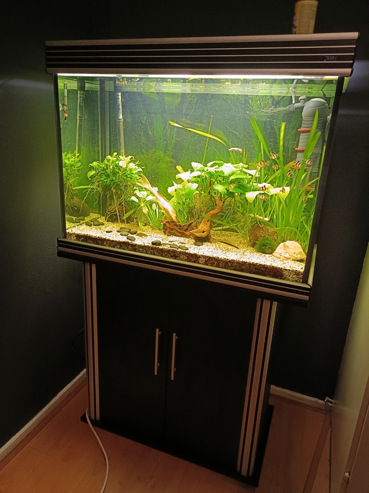 Aquarium, Ophalen, Leeg aquarium