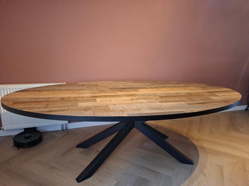 Ovale eettafel, Huis en Inrichting, Tafels | Eettafels, Zo goed als nieuw, 100 tot 150 cm, 200 cm of meer, Vijf personen of meer