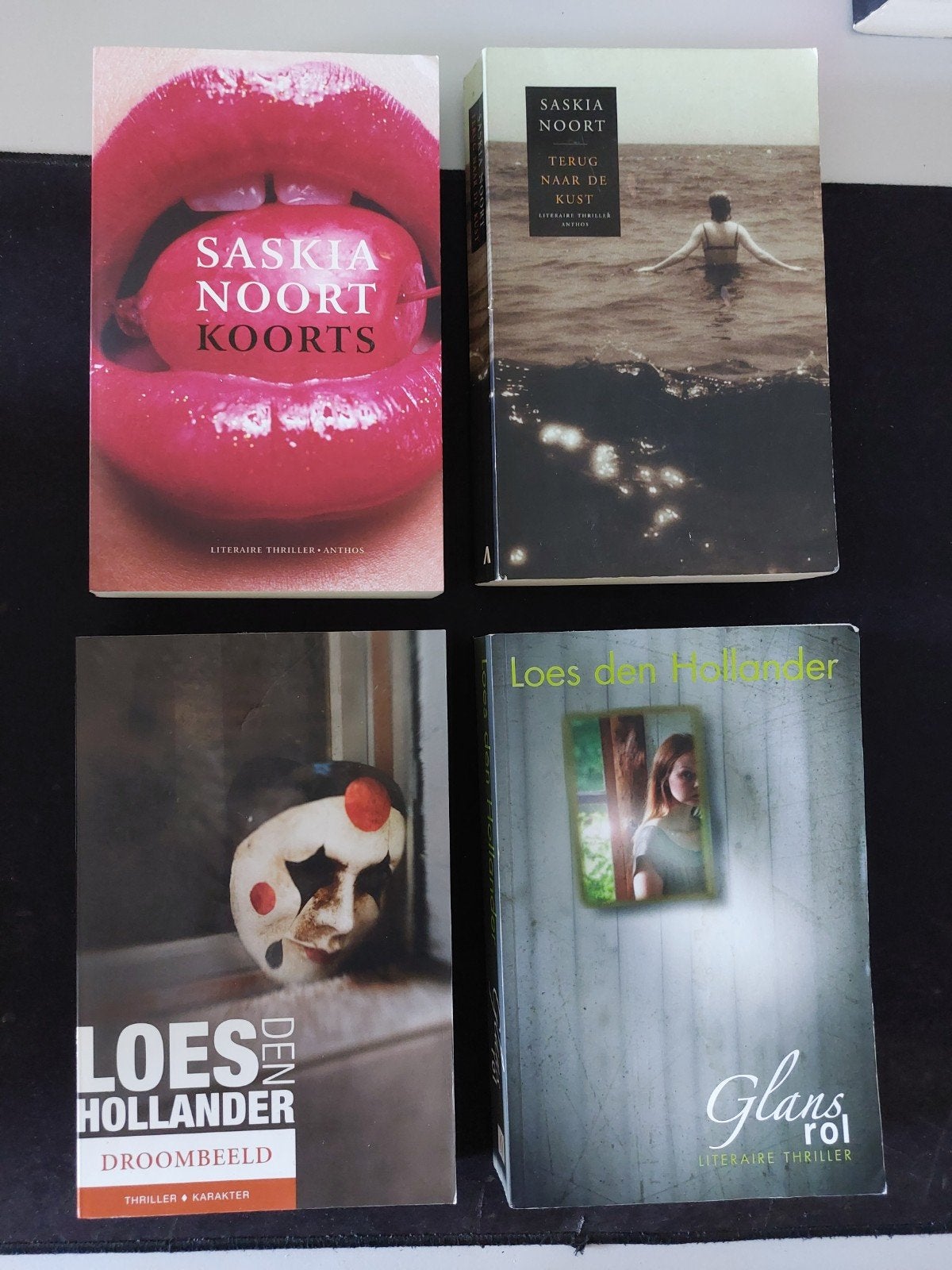Saskia Noort & Loes den Hollander Thrillers - 4 Boeken, Ophalen of Verzenden, Gelezen, Saskia Noort, Loes den Hollander, Nederland