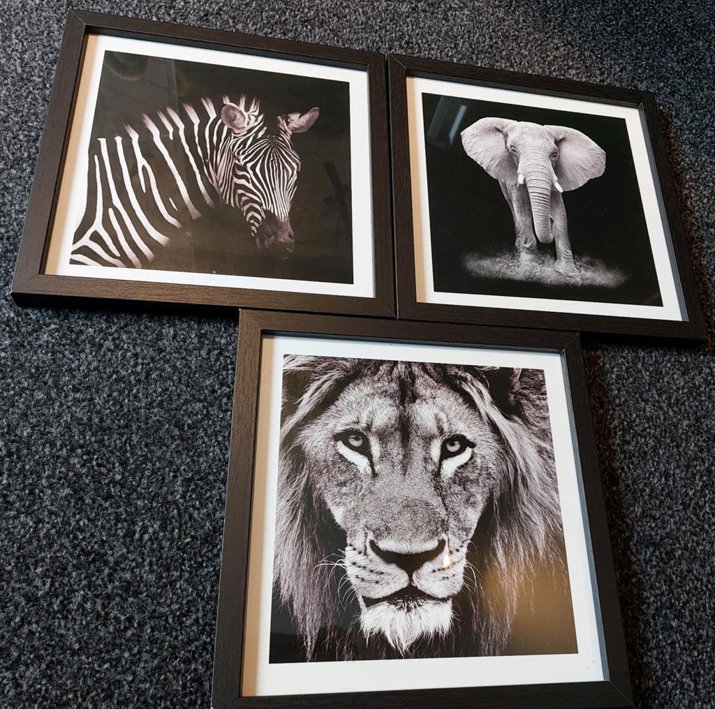 Dieren schilderijen inclusief lijsten 25x25cm, Huis en Inrichting, Minder dan 50 cm, Ophalen of Verzenden, Zo goed als nieuw, Schilderij
