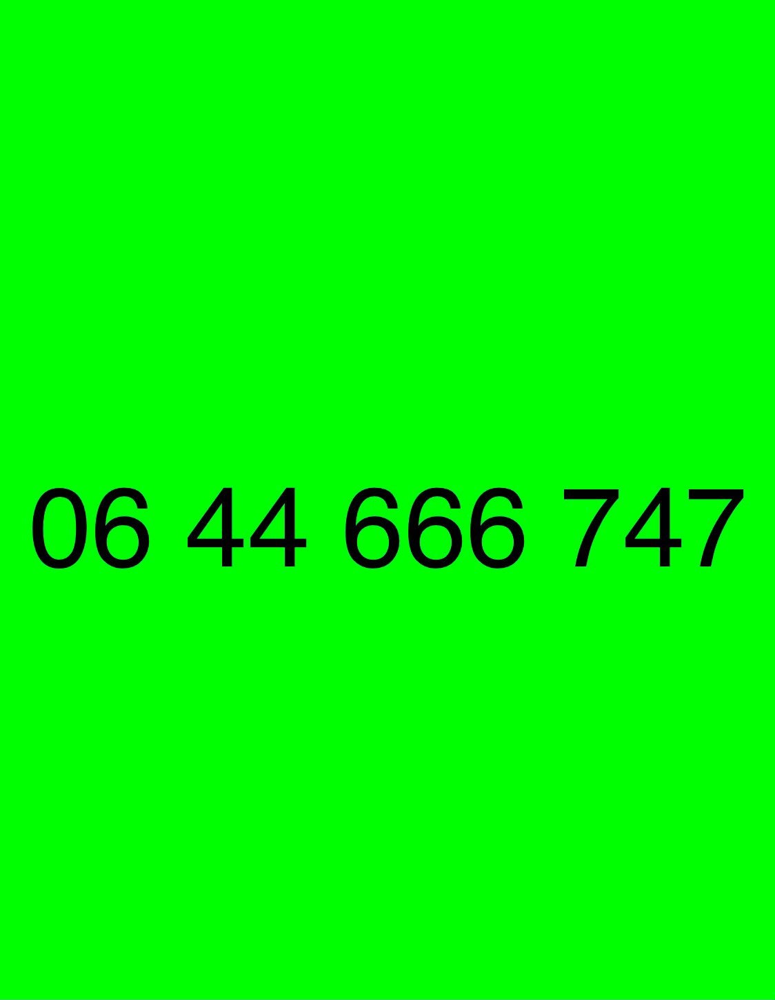 Makkelijke Telefoonnummer - 06 44 666 747, Ophalen of Verzenden, Nieuw, Overige providers, Prepaidkaart