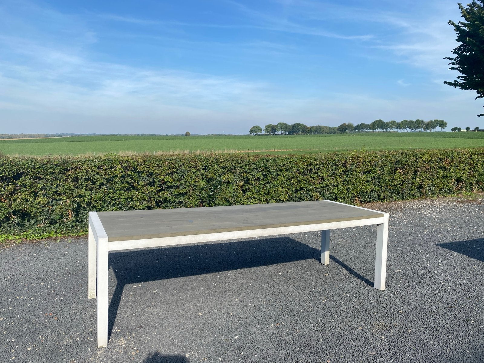 Grote tuintafel met aluminium frame en polywoid  blad, Tuin en Terras, Ophalen, Gebruikt, Rechthoekig, Aluminium