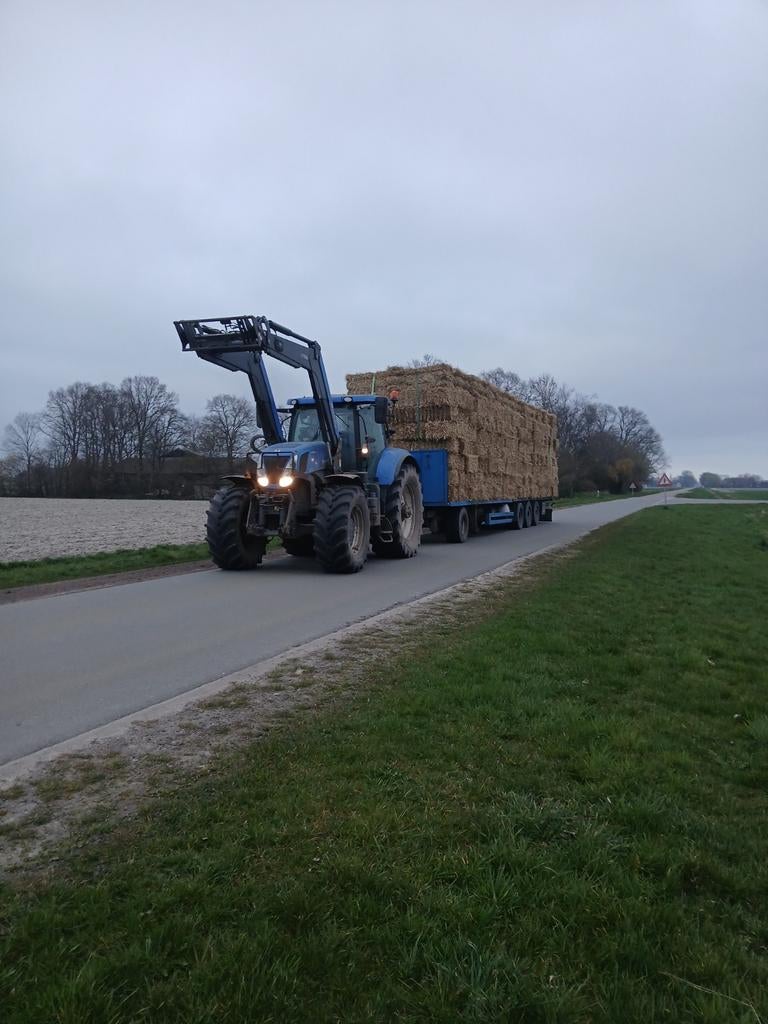 Kleine pakjes hooi/ tarwe en gerstestro, Ophalen of Verzenden, Vee