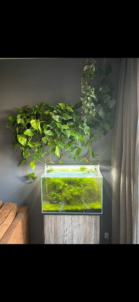 Compleet Superfish Scaper 70 (Leeg) Incl Meubel, Dieren en Toebehoren, Ophalen, Zo goed als nieuw, Leeg aquarium, Superfish