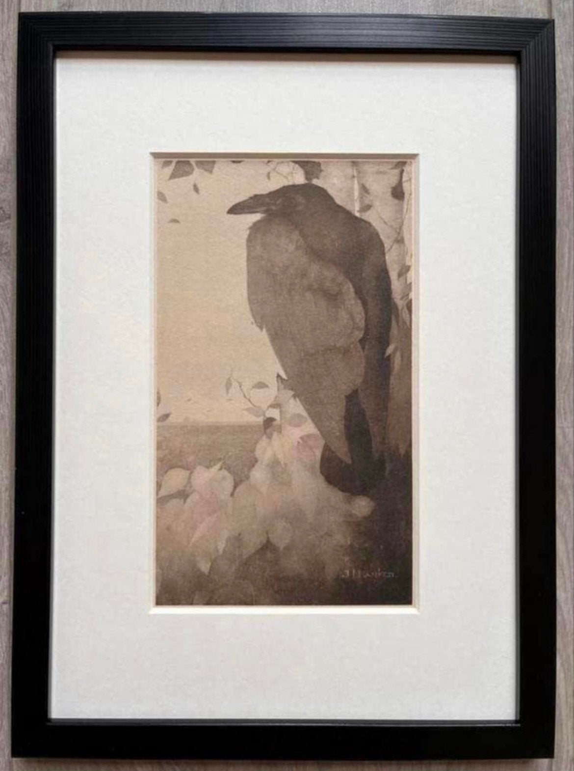 Jan Mankes 1889-1920 / Heliogravure Raaf in Berkenboom 1923, Origineel, 23 cm, Ophalen of Verzenden, Gravure