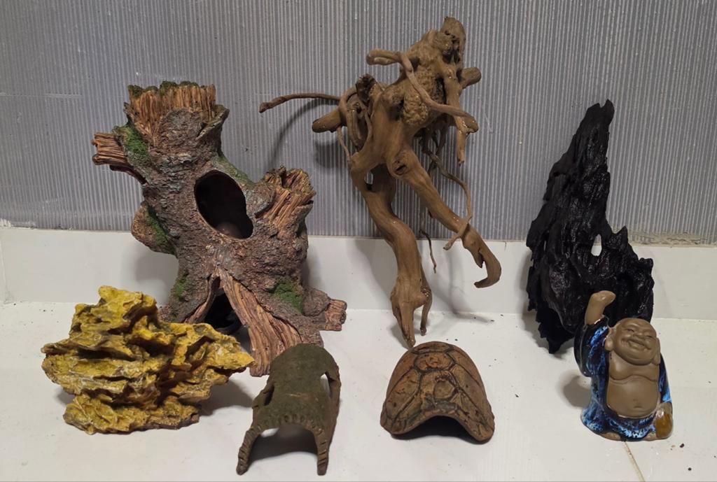 Aquarium decoratie elementen ornamenten hout, Ophalen of Verzenden, Plant(en), Steen of Hout