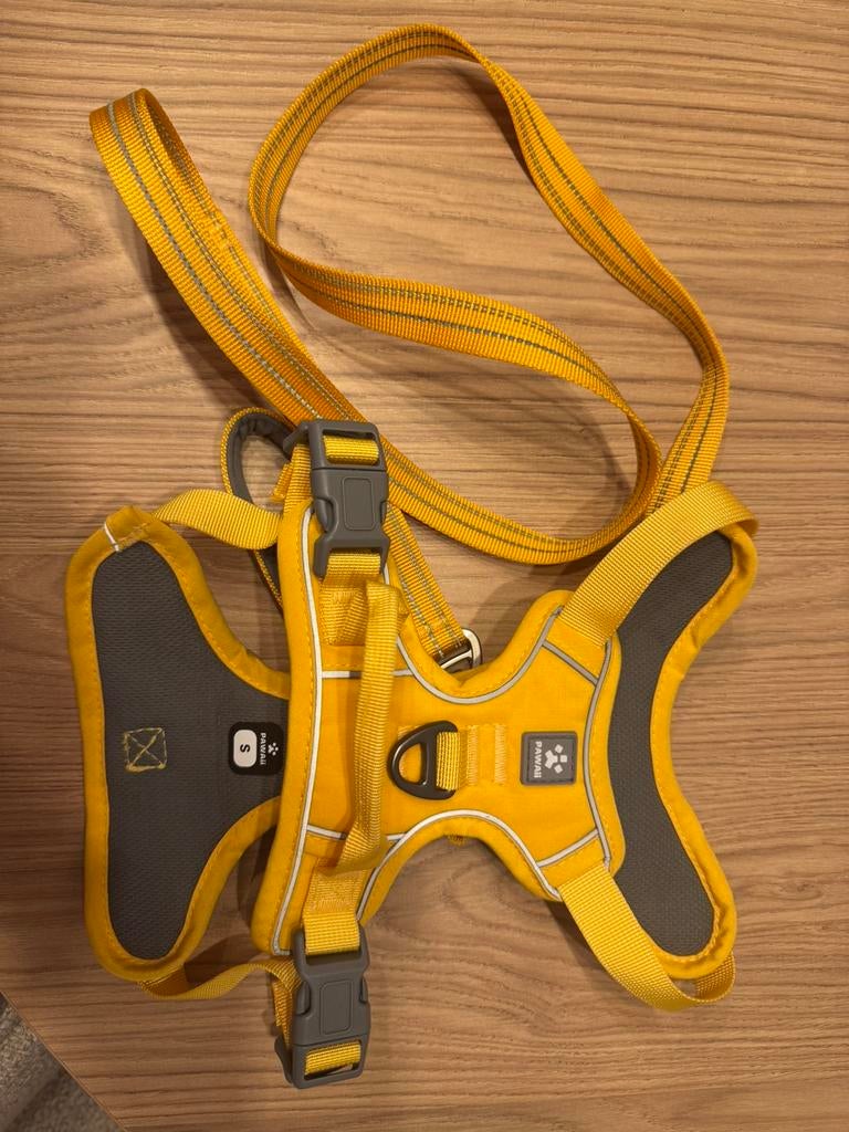 Dog Harness + Leash Set (Size S), Ophalen of Verzenden, Zo goed als nieuw