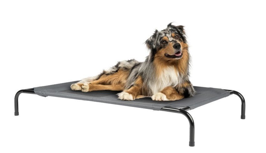 NIEUW! Zoofari huisdier / camping / hondenbed 130x80x19cm, Ophalen of Verzenden, Nieuw, Overige