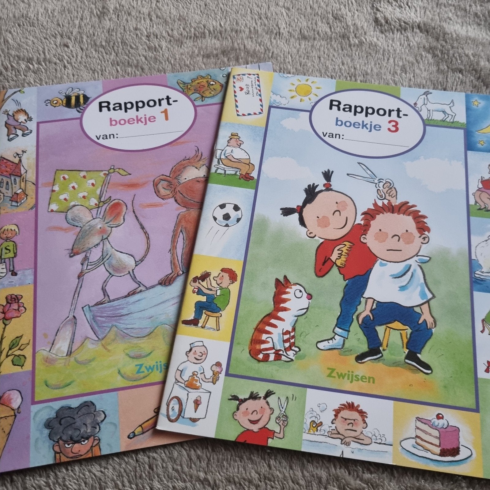 Groep 3 Rapportboekjes  - Zwijsen (Deel 1 en 3), Boeken, Overige vakken, Ophalen of Verzenden, Zo goed als nieuw, Zwijsen