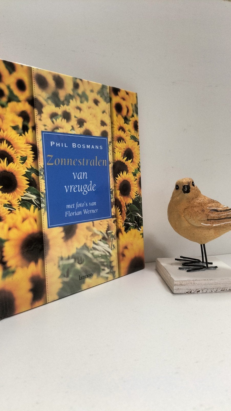 Bosmans, Phil; Zonnestralen van vreugde, Boeken, Ophalen of Verzenden, Gelezen, Christendom | Protestants