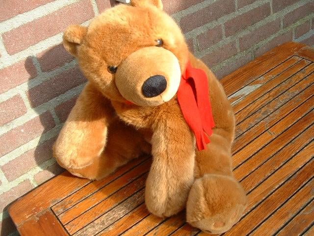 EVORA KRUIDVAT BEER PLUCHE BRUIN MET KORTHARIG PLUC, Kinderen en Baby's, Ophalen of Verzenden, Nieuw, Overige typen