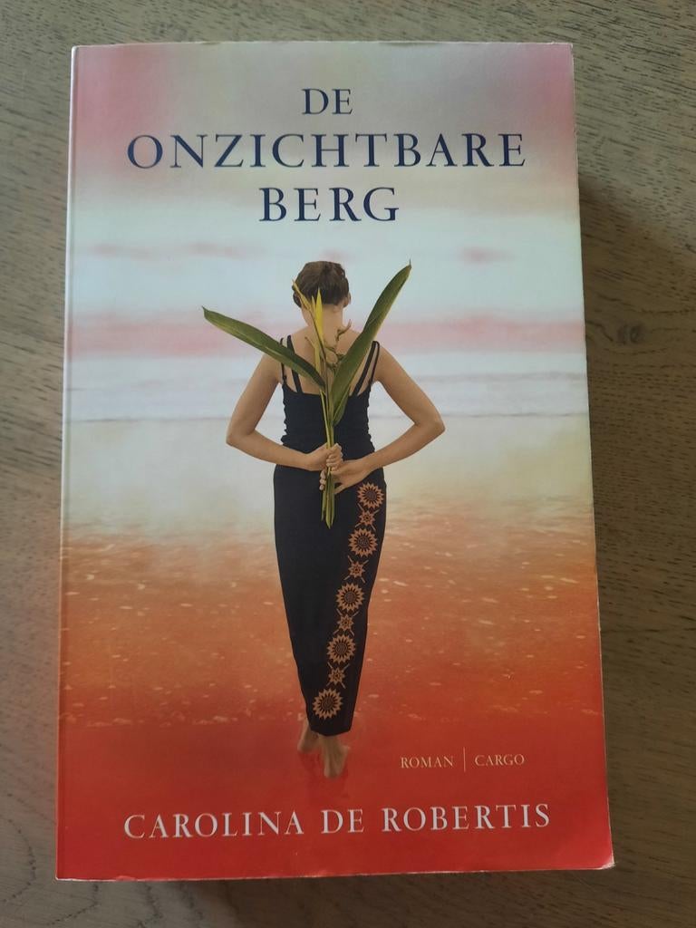 Carolina De Robertis - De onzichtbare berg, Ophalen of Verzenden, Zo goed als nieuw, Carolina De Robertis; Carolina de Robertis