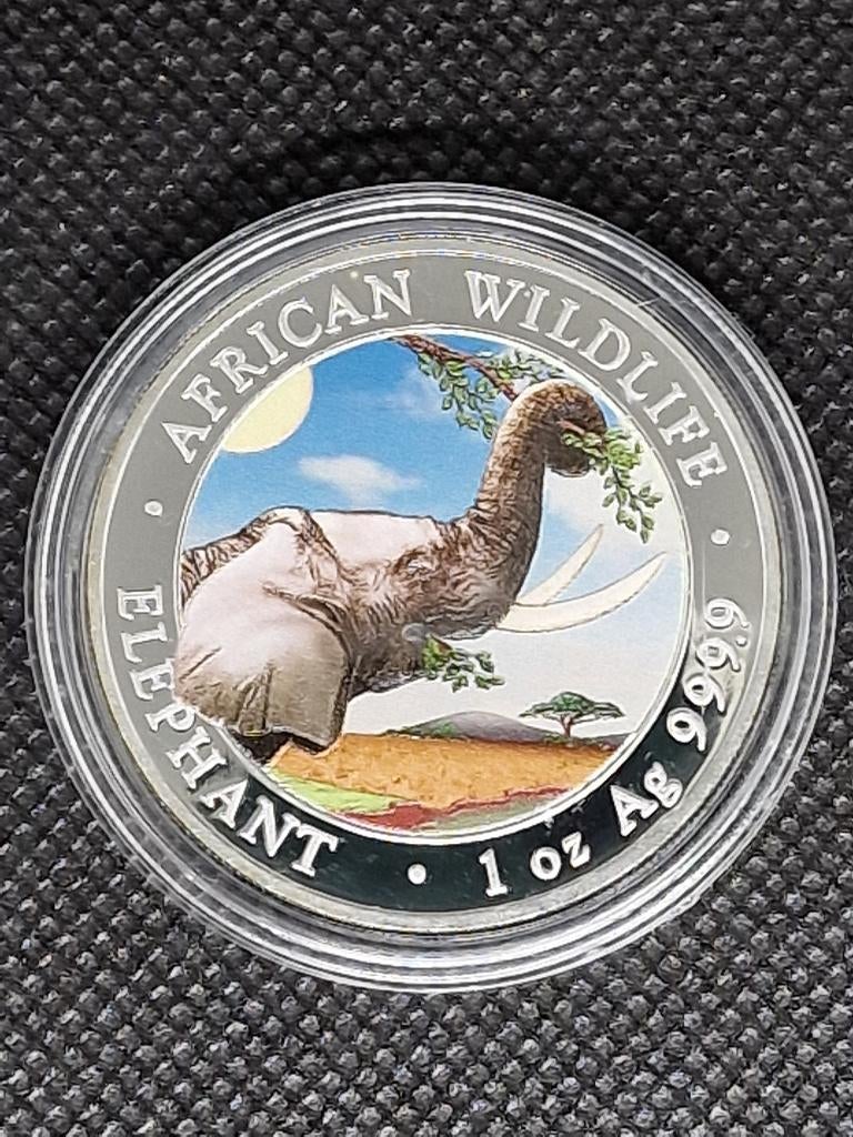 AFRICAN WILDLIFE ELEPHANT GEKLEURD 2023 1 OUNCE 999 ZILVER, Ophalen of Verzenden, Zilver