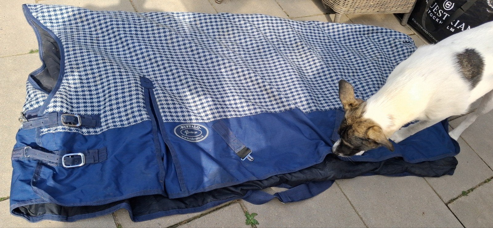 Winterdeken 300 gram 195cm, Dieren en Toebehoren, Ophalen, Gebruikt, 300 g, Blauw