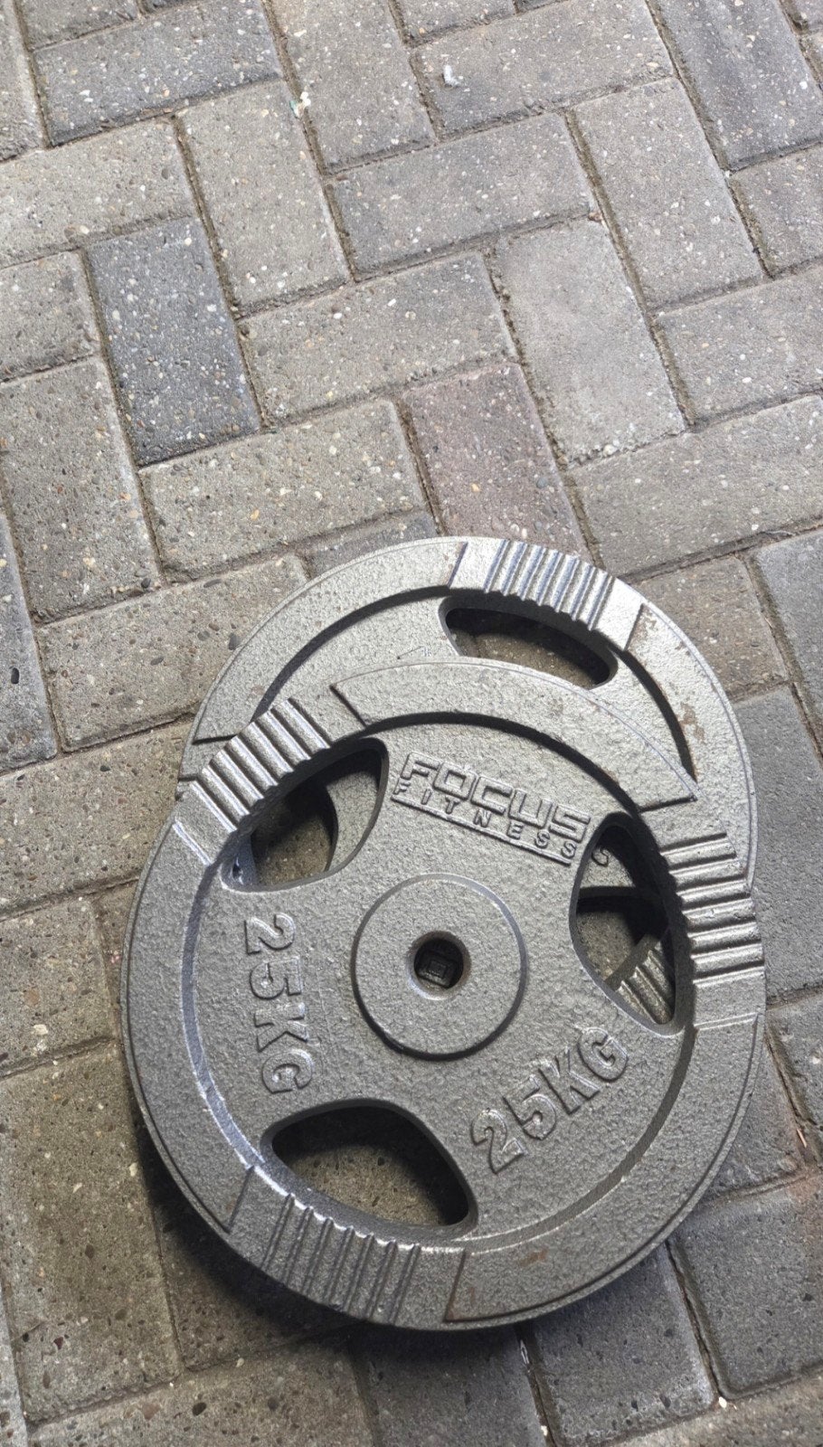2 Focus Fitness Halterschijven Gietijzer 25 kg, Sport en Fitness, Ophalen, Zo goed als nieuw, Benen, Halterschijven