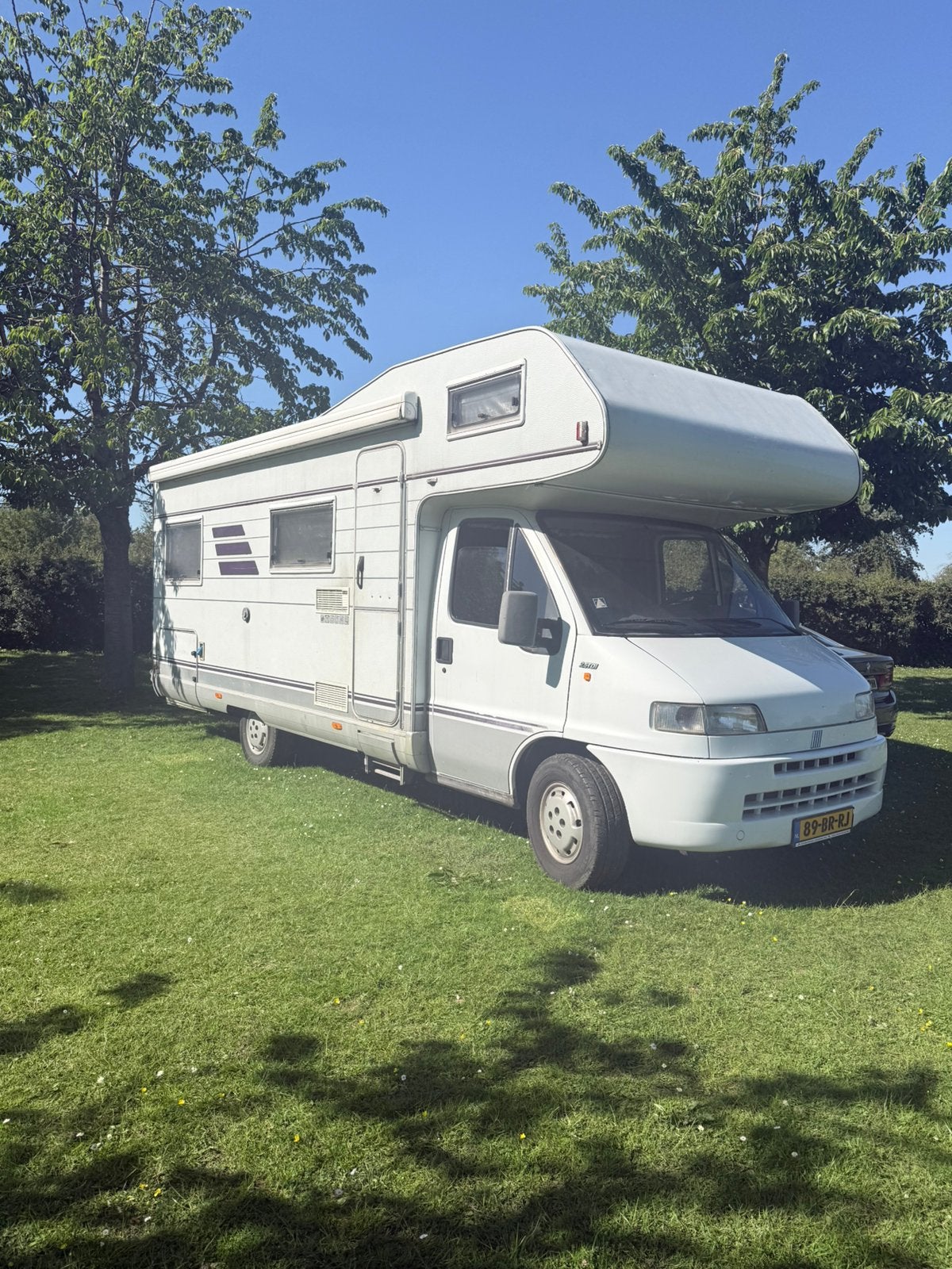 Fiat Hymer camper te koop (met airco 🙂), Alkoof, Fiat, Treinzit, Particulier