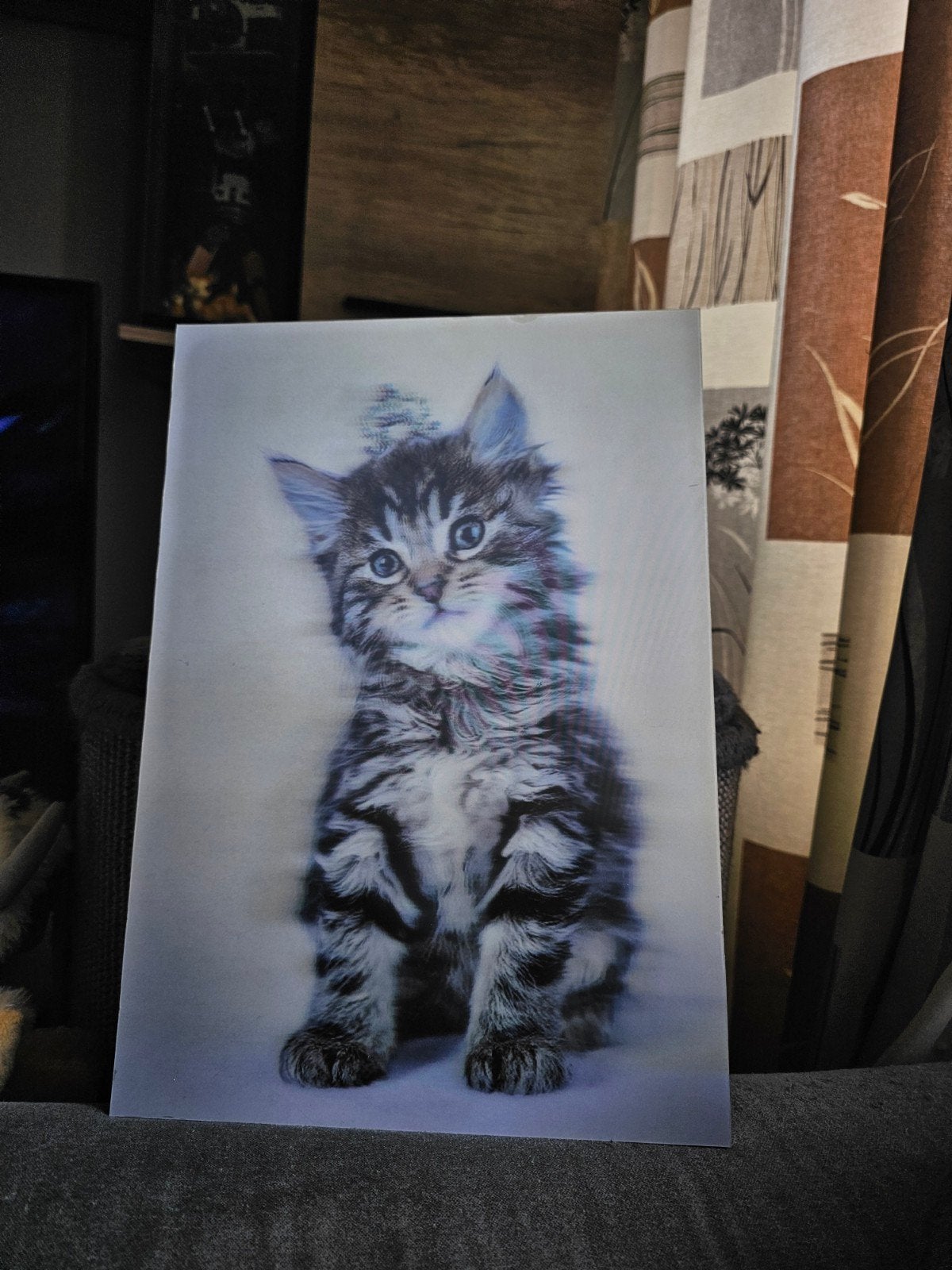 3D Schilderij van een schattige kitten, 50 – 75, Minder dan 50 cm, Ophalen of Verzenden, Zo goed als nieuw