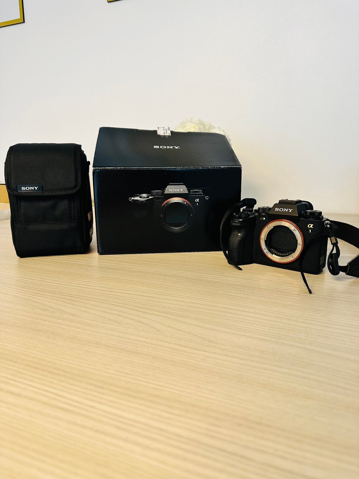 Professioneel camera sony A1