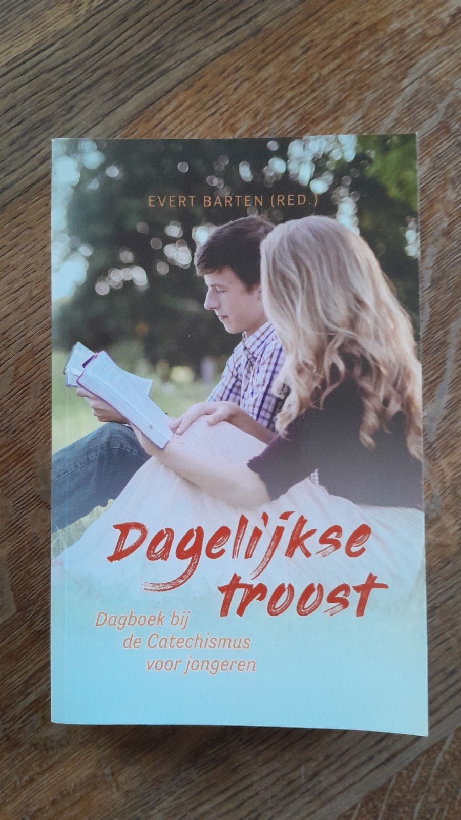 Dagelijkse Troost - Dagboek bij de Catechismus voor jongeren, Ophalen of Verzenden, Zo goed als nieuw, Evert Barten (red.), Christendom | Protestants