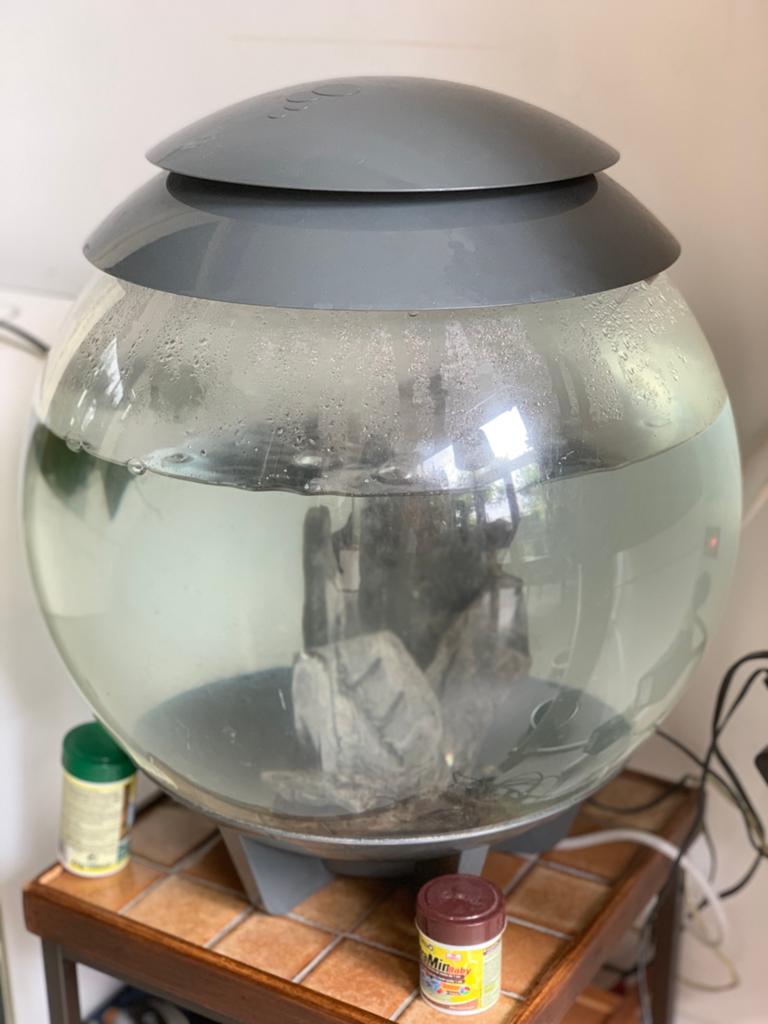 Biorb halo 30 l, Ophalen of Verzenden, Zo goed als nieuw