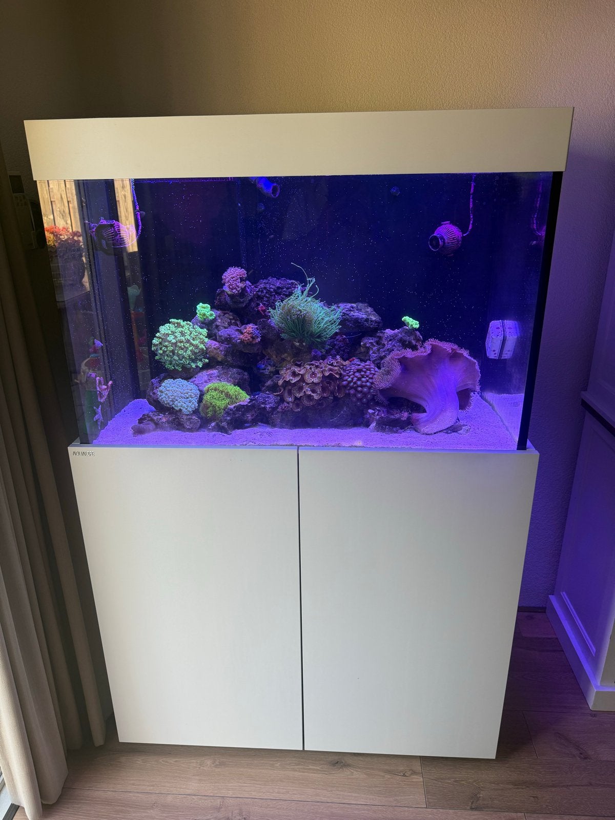Zee aquarium aqualife compleet met techniek, Dieren en Toebehoren, Ophalen, Gevuld zeewateraquarium, Nieuw, Blue Marine