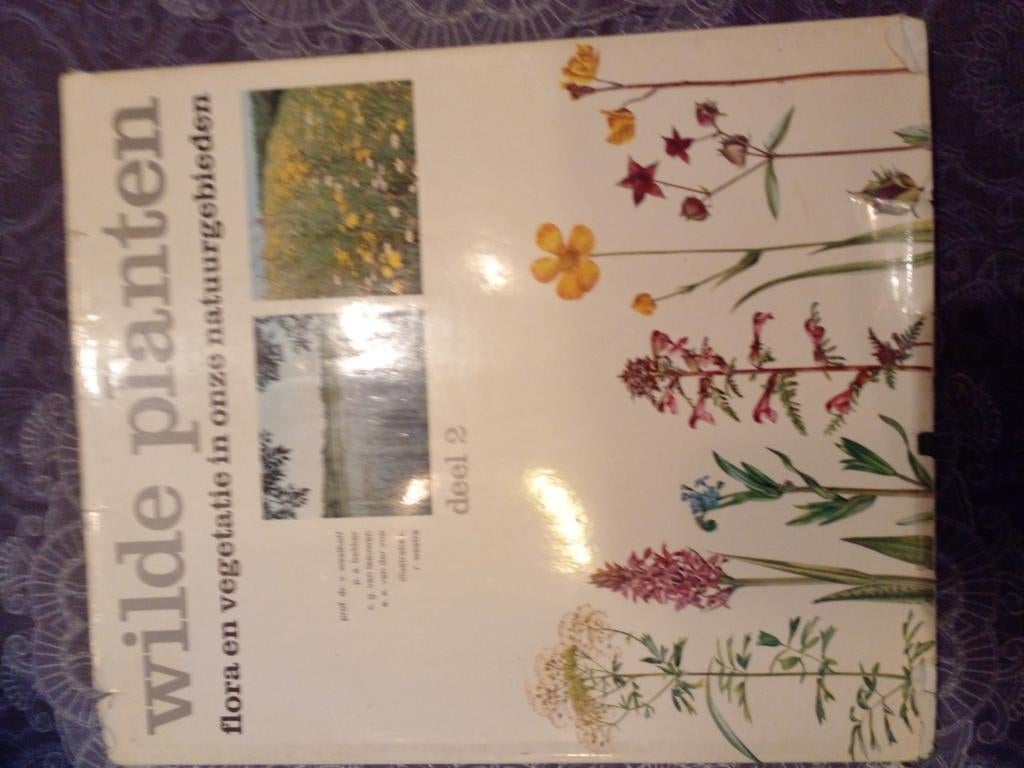 Wilde planten flora en vegetatie in onze natuurgebieden, Boeken, Ophalen of Verzenden, Gelezen, Bloemen, Planten en Bomen, A.J. Kortlandt