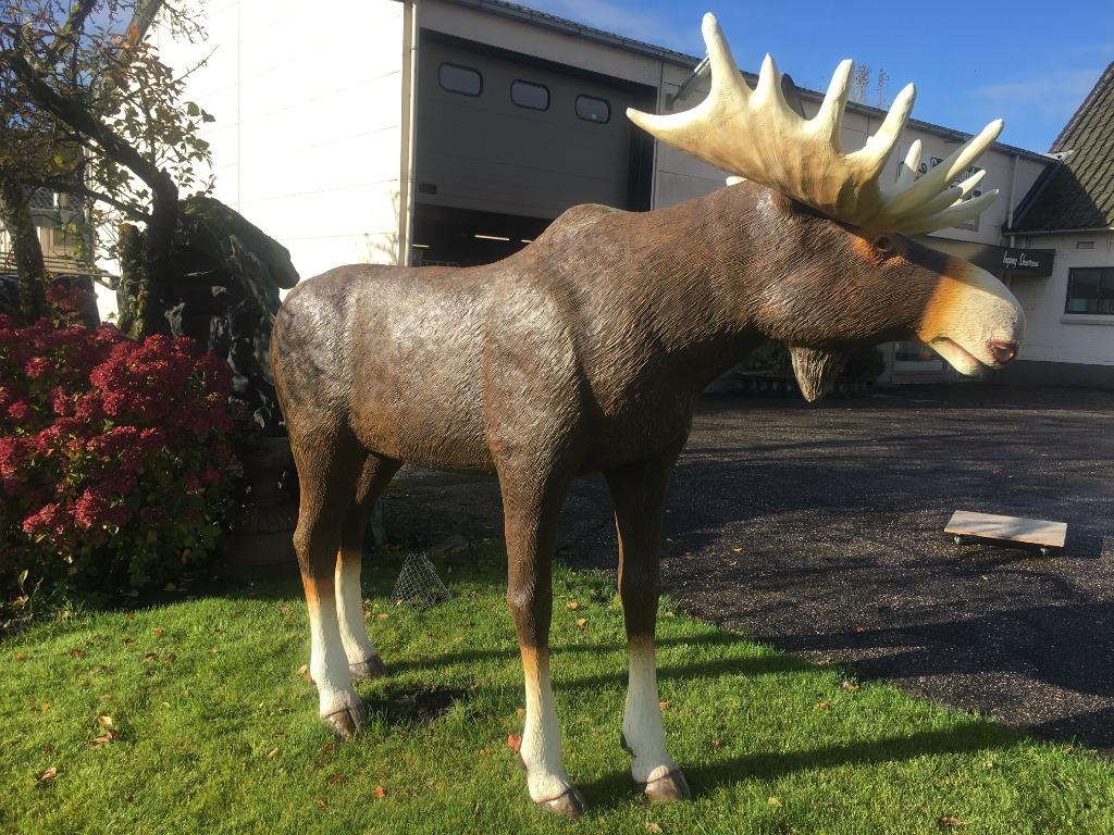 Eland Beeld - Groot en levensecht tuinbeeld Moose, Ophalen of Verzenden, Nieuw, Kunststof, Dierenbeeld