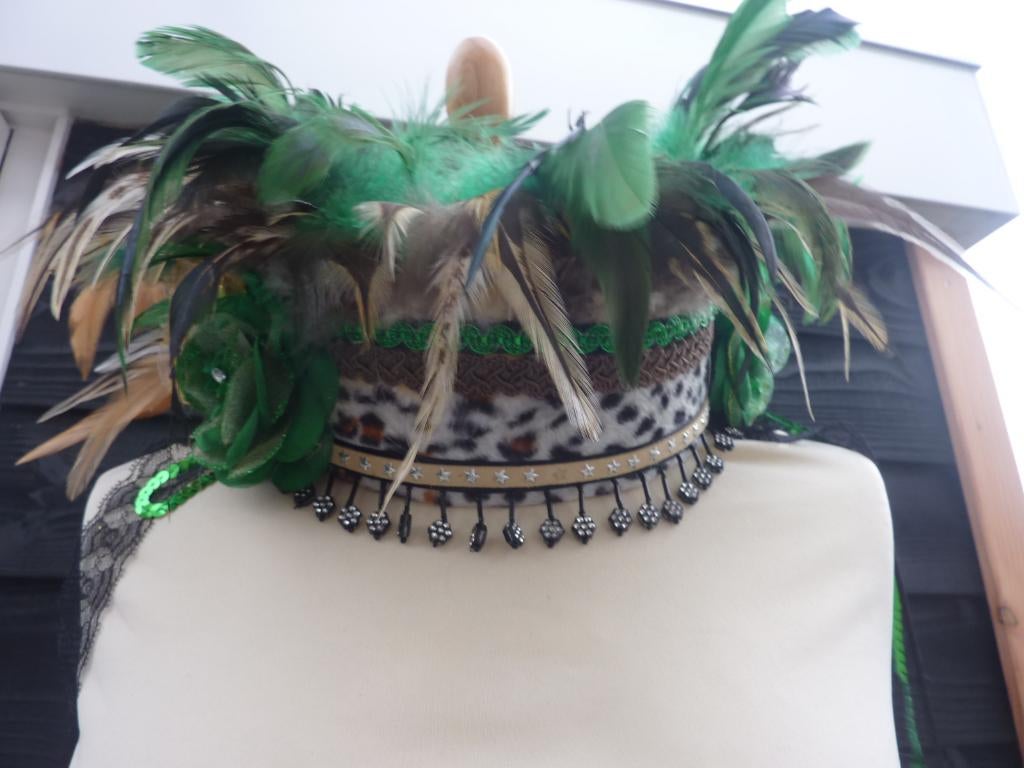CARNAVAL, tooi, hoofdtooi, hoed, groen, Ophalen of Verzenden, Gedragen, Carnaval, Accessoires