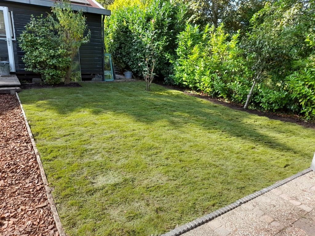 Tuinman aangeboden, Diensten en Vakmensen, Tuinmannen en Stratenmakers, Tuinonderhoud of Snoeiwerk