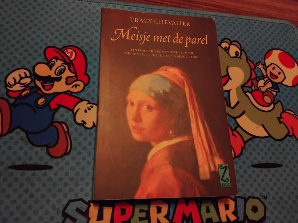 Meisje met de parel boek, Boeken, Ophalen of Verzenden, Zo goed als nieuw