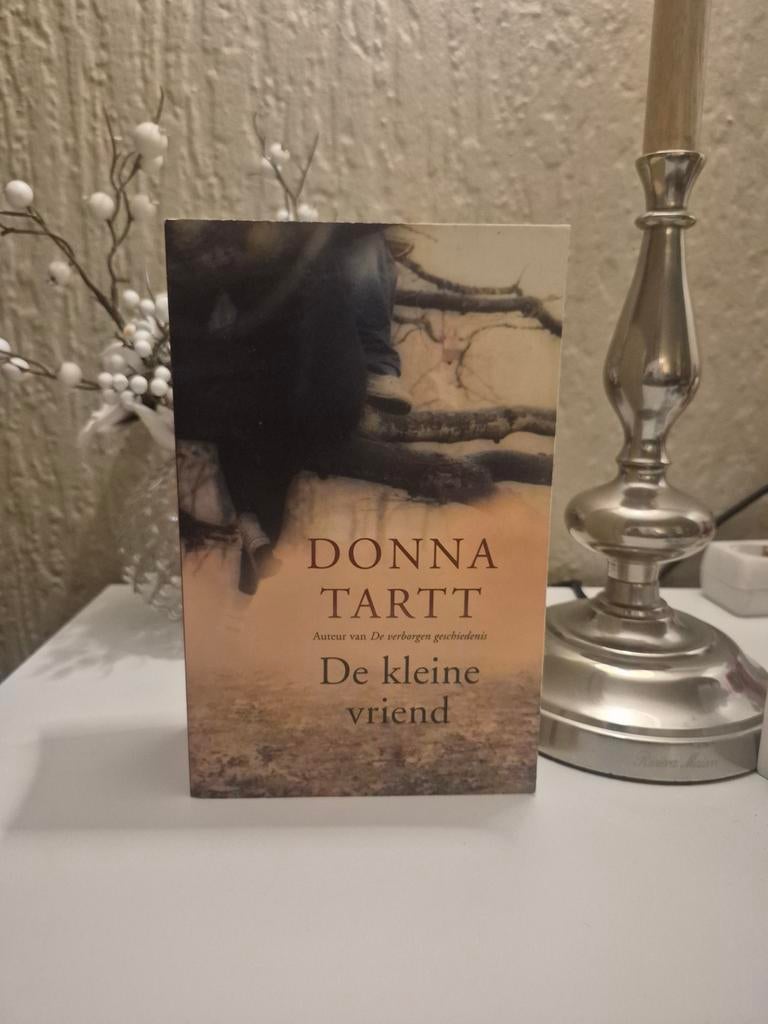 De kleine vriend - Donna Tartt, Boeken, Ophalen of Verzenden