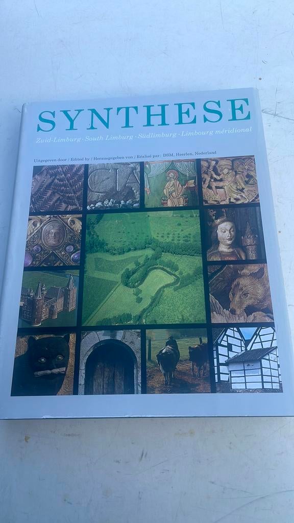 Synthese, Ophalen of Verzenden, Zo goed als nieuw, Architectuur algemeen
