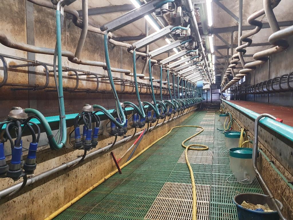 GEA swingover melkstal, Ophalen of Verzenden, Gebruikt
