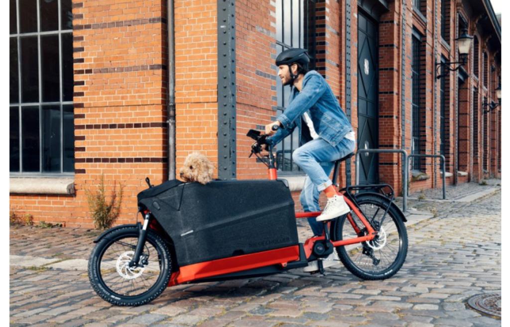Bakfiets Riese & Müller Packster 70 Vario nu €4000 korting, Fietsen en Brommers, Overige merken, Verzenden, Huif, Nieuw