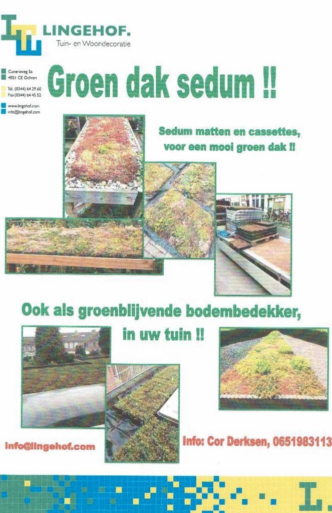 Sedum groen dak in cassettes of matten pakket, Tuin en Terras, Ophalen of Verzenden, Volle zon
