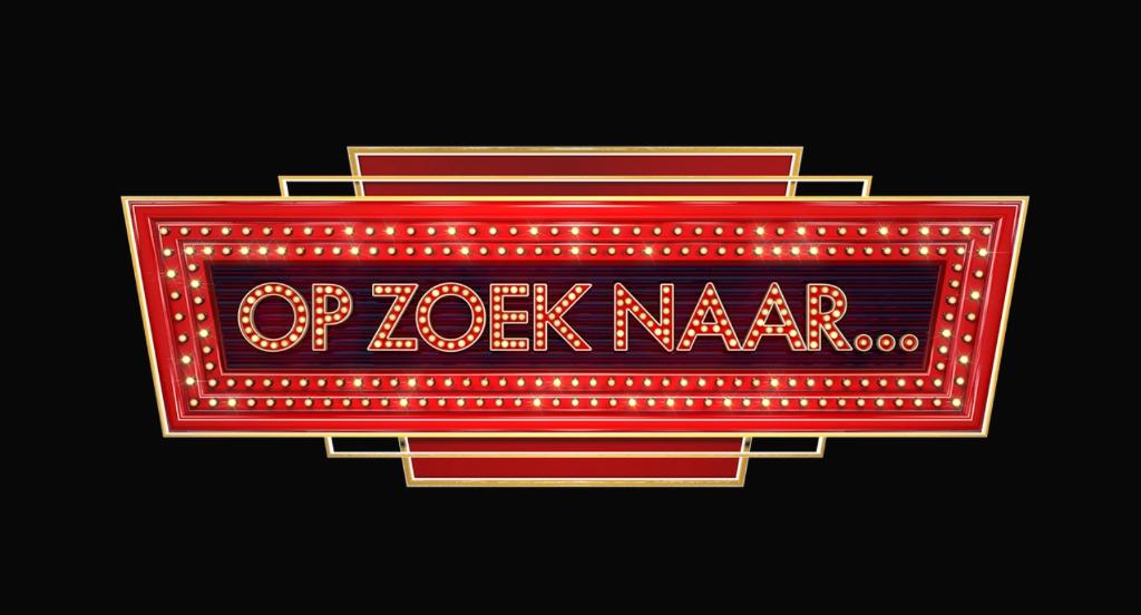 Op zoek naar een Boston Terrier, Dieren en Toebehoren, 8 tot 15 weken, Eén hond, Nederland, Particulier
