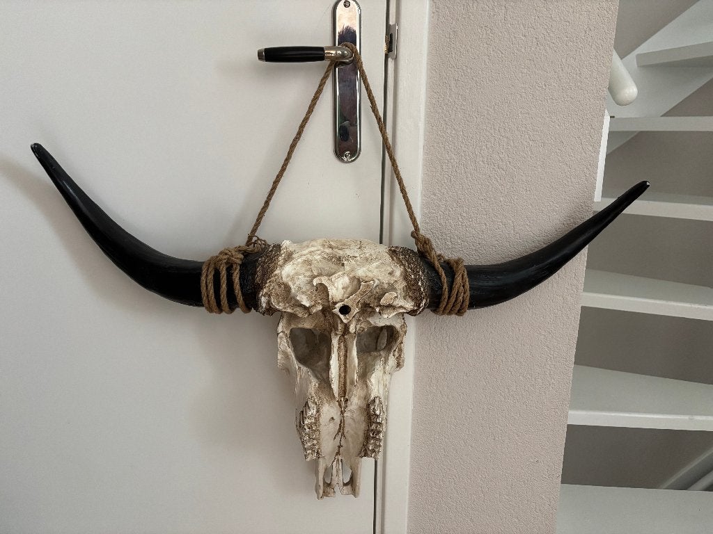 stieren kop, Ophalen, Gebruikt, Wanddecoratie, Overige materialen