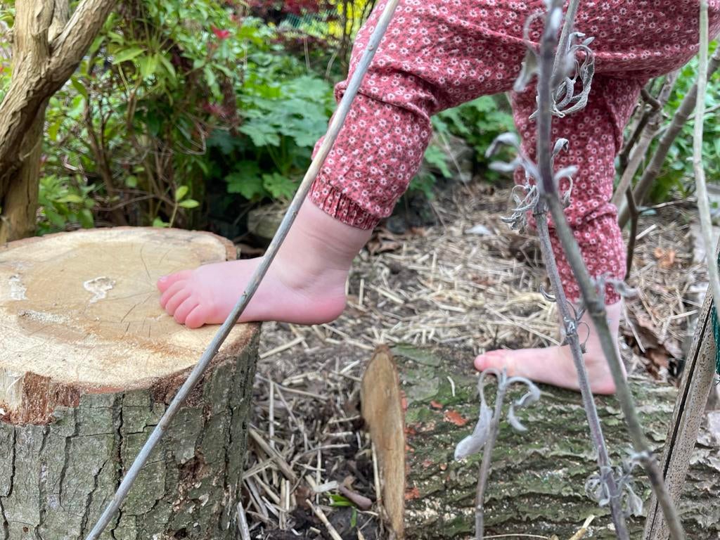 Boomstammen voor beleefpad of tuin, Ophalen, Nieuw, Overige typen