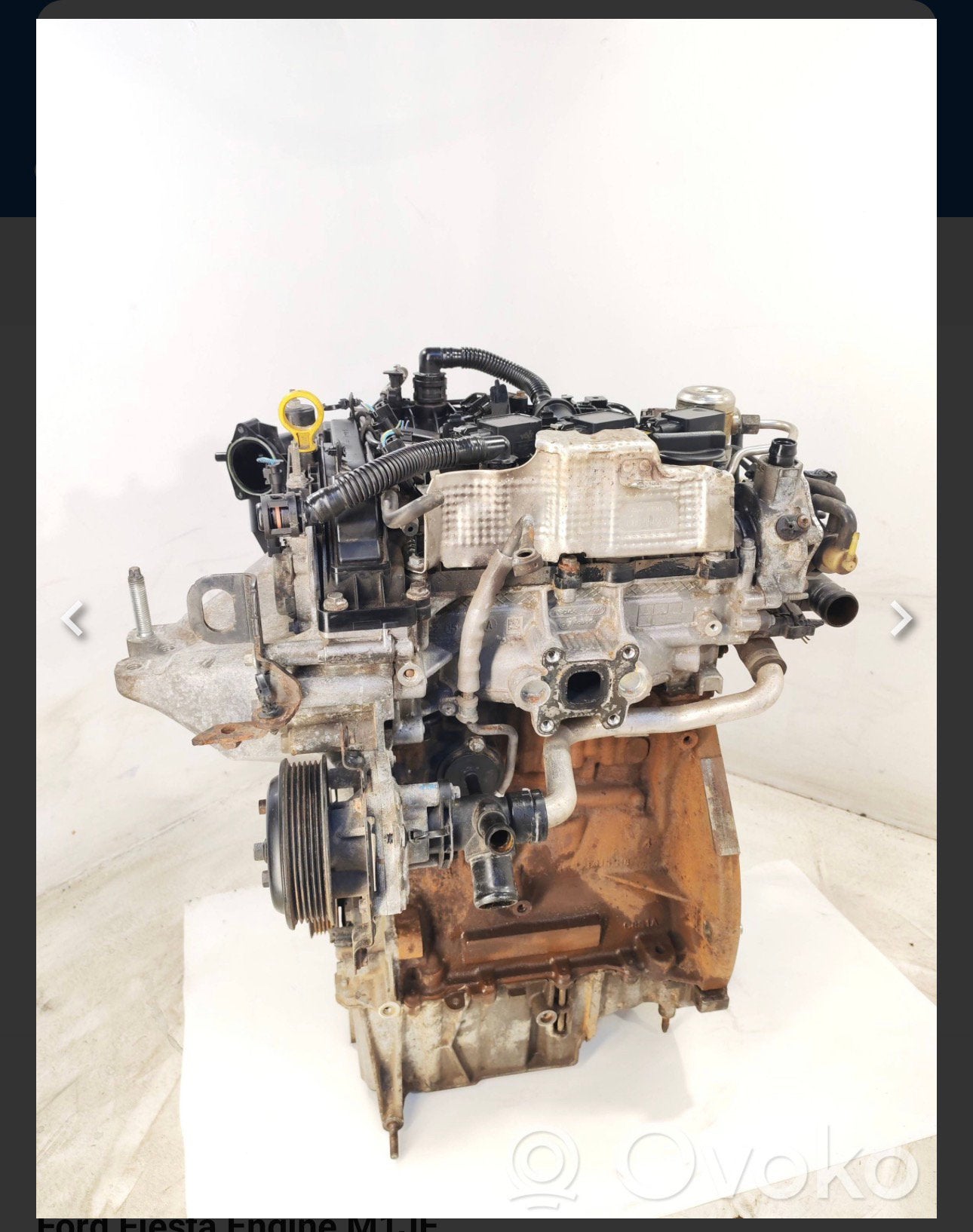 Ford Fiesta/Focus/B-C Max 1.0 ecoboost(revisie)motor €1750,-, Ford, Ophalen of Verzenden, Florida, İnfo@ford.us