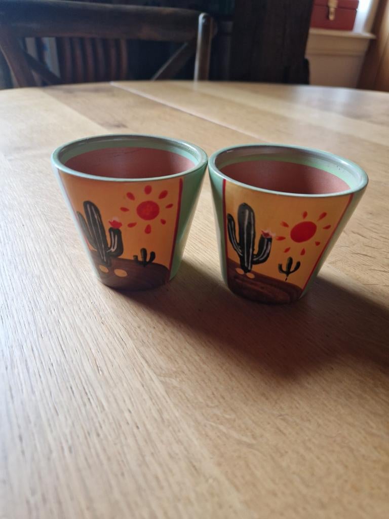 MINI BLOEMPOTJES CACTUS DECORATIE 2x, Ophalen of Verzenden, Nieuw, Groen, Steen/keramiek