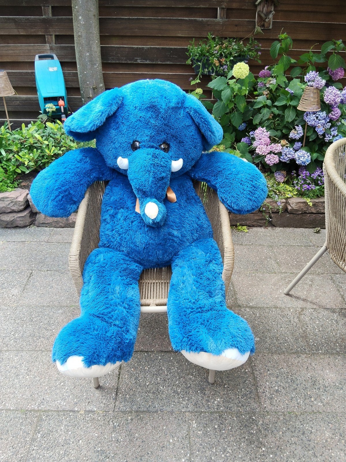 Nieuwe knuffel olifant, Ophalen
