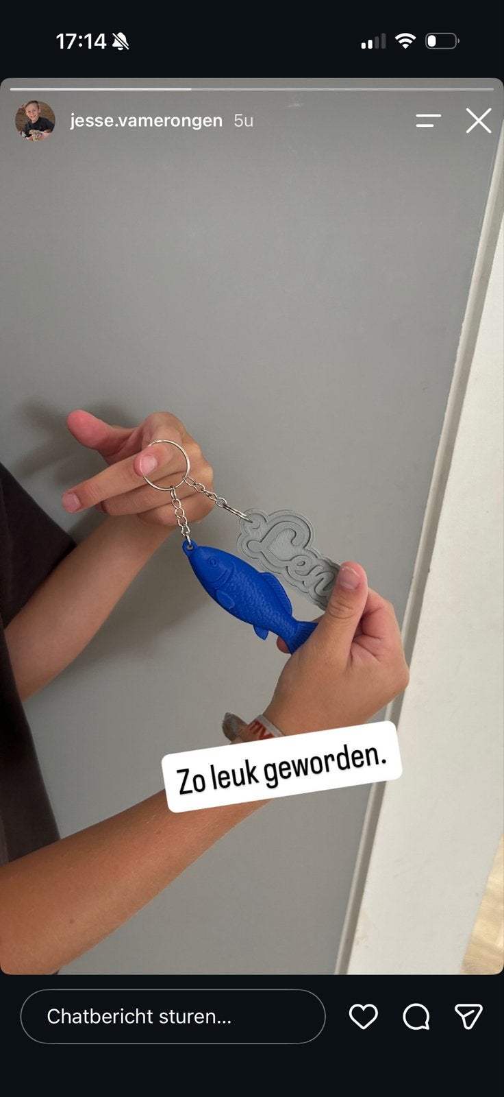 Unieke 3D-geprinte creaties door jonge maker, Computers en Software, Ophalen of Verzenden, Nieuw
