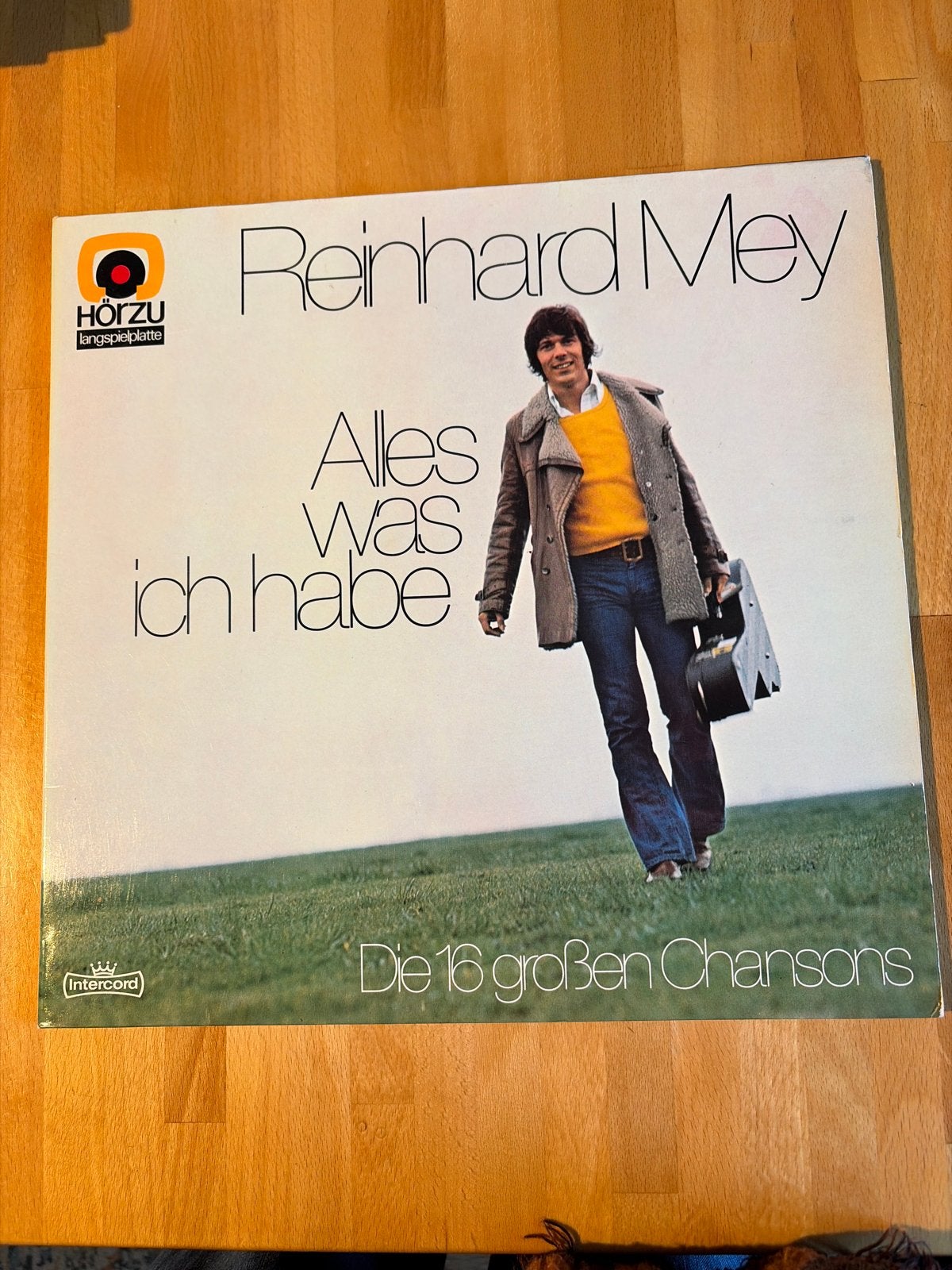 Reinhard Mey - Alles was ich habe (LP), Cd's en Dvd's, Ophalen of Verzenden, Gebruikt, 12 inch, LP
