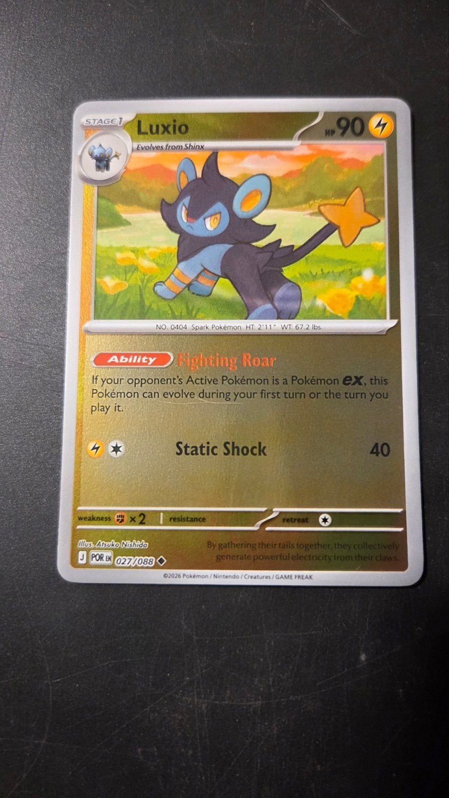 Luxio 027/088 Reverse Holo - Perfect Order, Ophalen of Verzenden, Zo goed als nieuw, Losse kaart, Foil