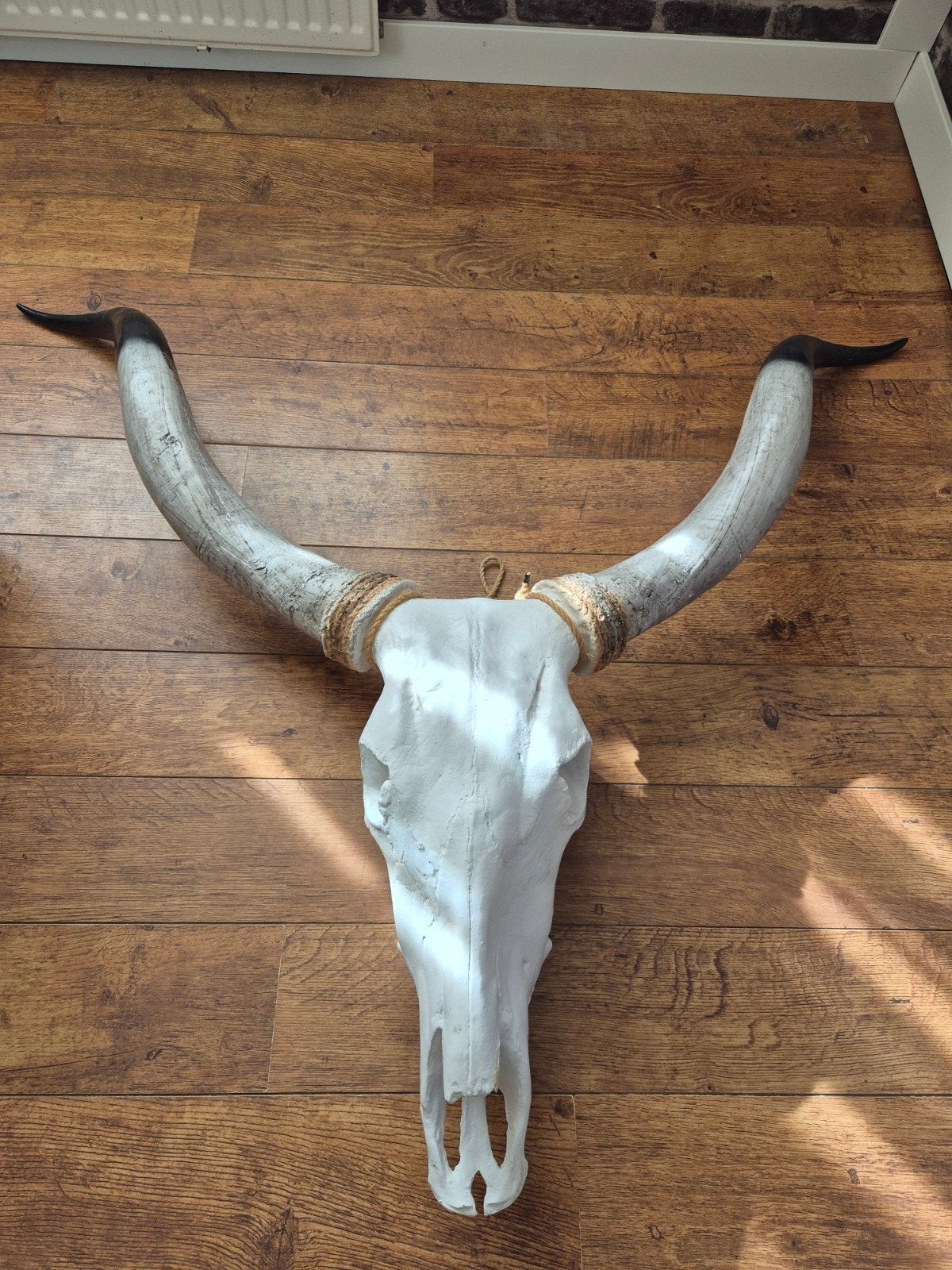 Decoratieve schedel met hoorns, Huis en Inrichting, Ophalen, Zo goed als nieuw, Kunststof, Landelijk