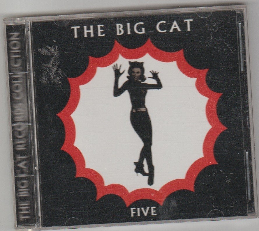 The Big Cat - Five - various - 5 years big cat records - cd, Ophalen of Verzenden, Gebruikt