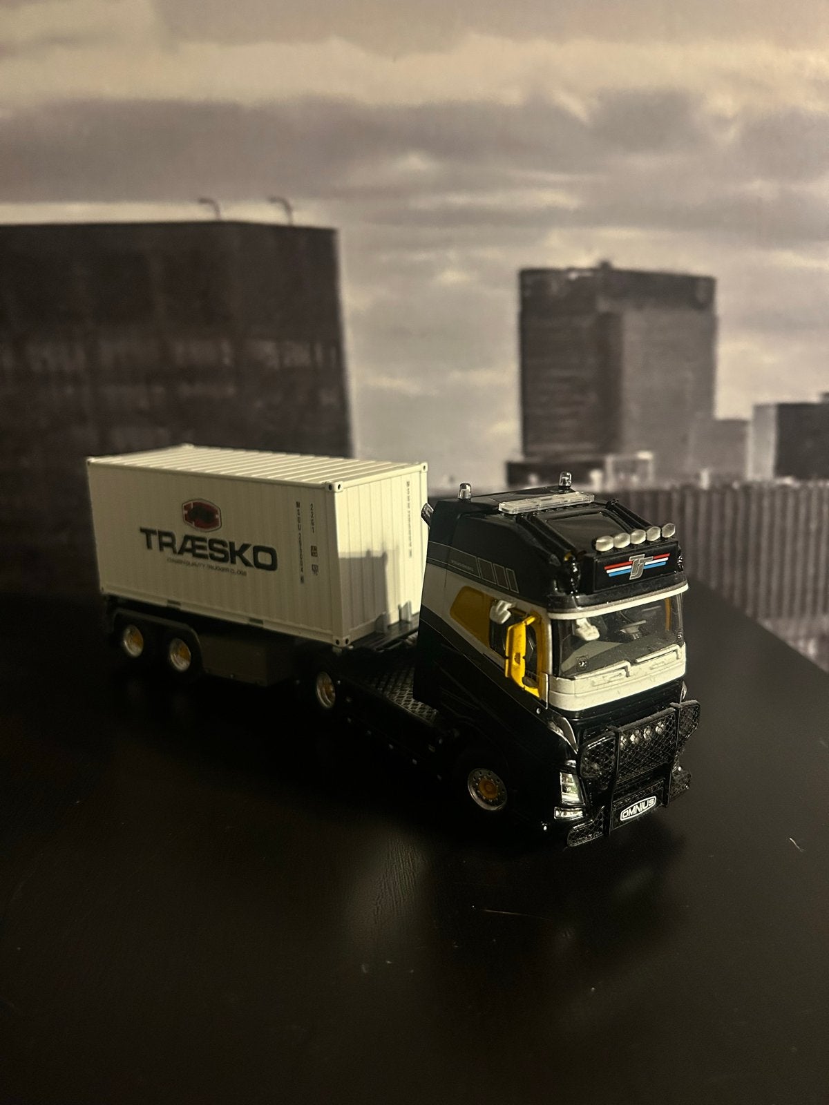 WSI Models truckjunkie Volvo FH04 Globetrotter XL Traesko, Hobby en Vrije tijd, Modelauto's | 1:50, Ophalen of Verzenden, Nieuw