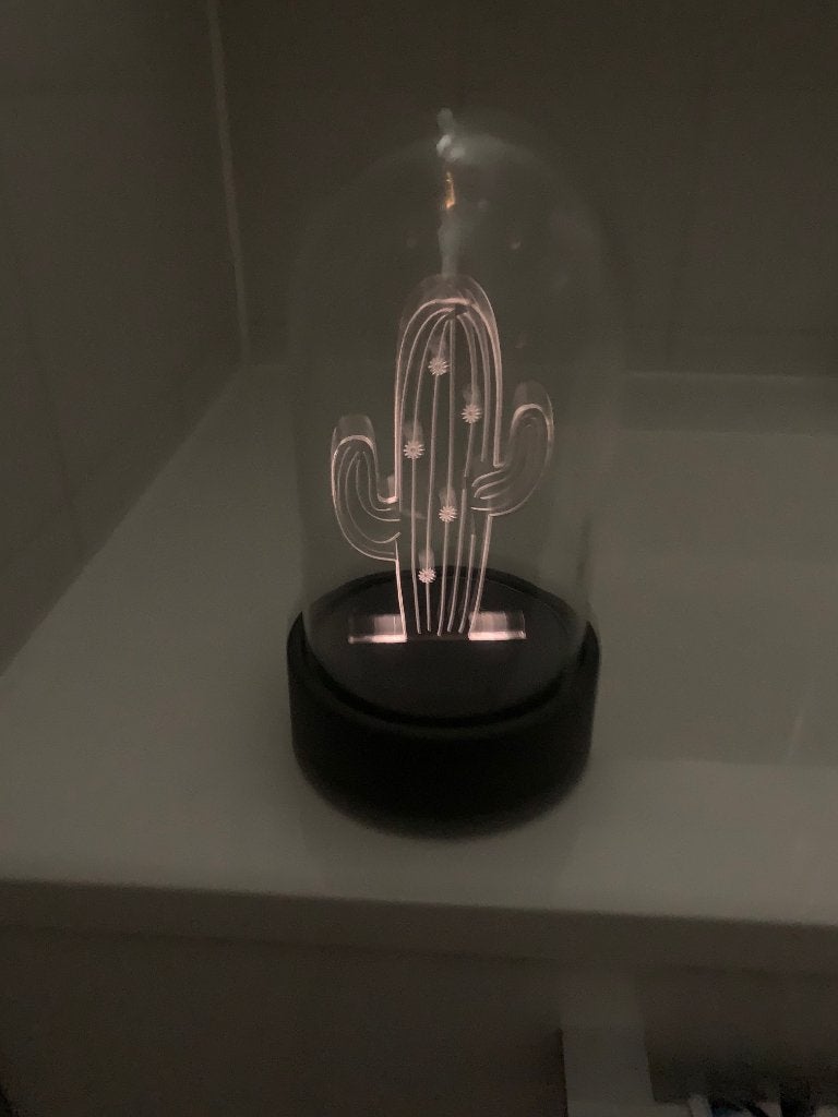 Leuk cactus batterijlampje onder stolpje, Ophalen of Verzenden, Zo goed als nieuw, Lamp
